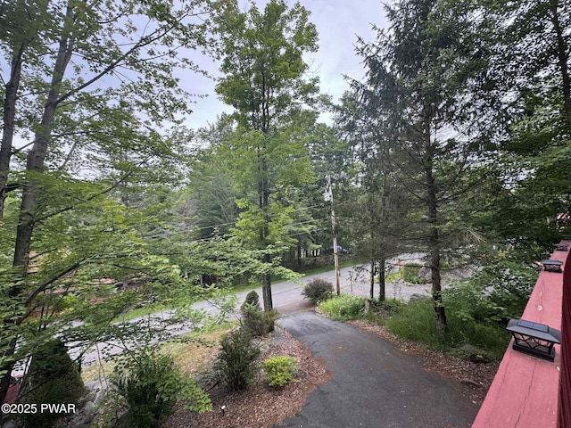 71 Woodhill Ln, Lake Ariel, PA 18436 - photo 32