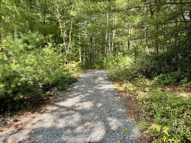 LOT21 Unfranchise Way, Shohola, PA 18458
