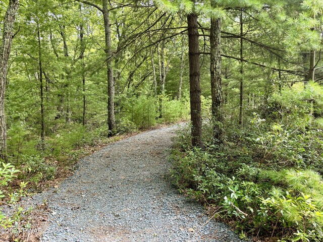 LOT21 Unfranchise Way, Shohola, PA 18458