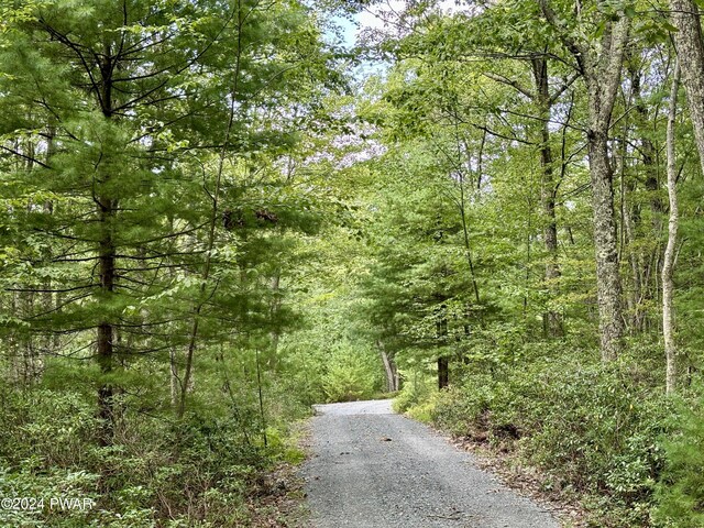 LOT21 Unfranchise Way, Shohola, PA 18458