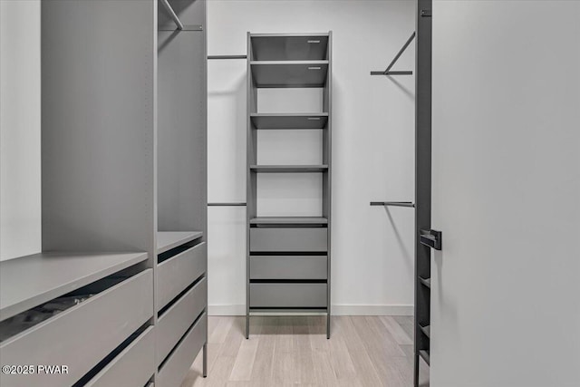 517 Maple Ridge Dr, Lords Valley, PA 18428 - walk in closet featuring light wood-type flooring