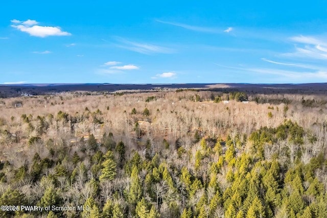 LOT130 Hemlock Cir, Gouldsboro, PA 18424