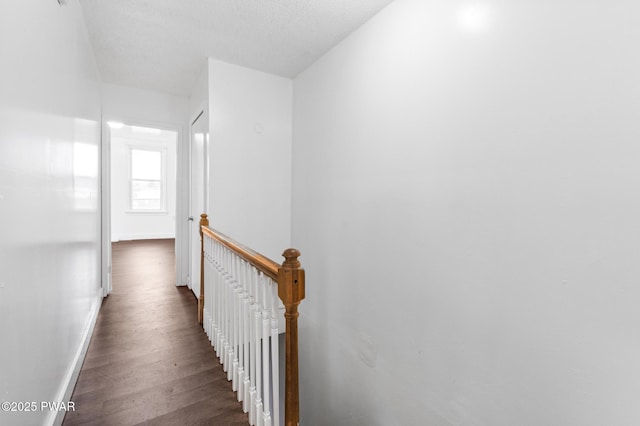 corridor featuring dark hardwood / wood-style flooring and a textured ceiling