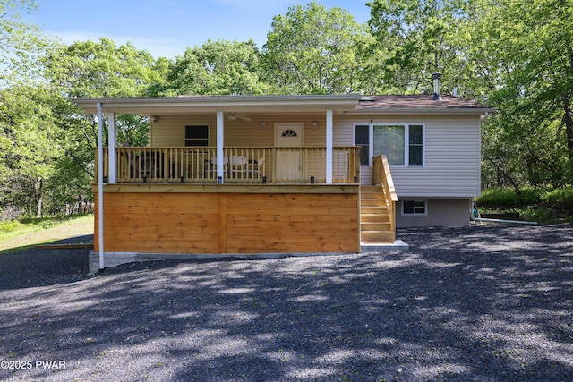 439 Gold Finch Rd, Bushkill, PA 18324 - view of front of property featuring stairs