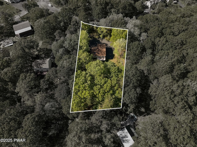439 Gold Finch Rd, Bushkill, PA 18324 - aerial overview of property's location featuring a forest and property parcel outlined