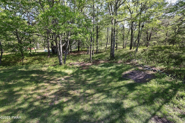 439 Gold Finch Rd, Bushkill, PA 18324 - view of green lawn