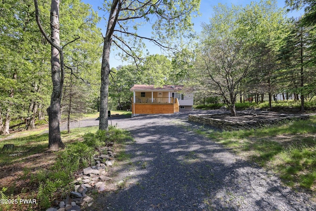 439 Gold Finch Rd, Bushkill, PA 18324 - view of front of property with gravel driveway