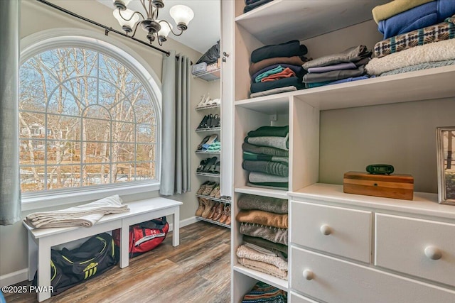 spacious closet featuring an inviting chandelier and wood finished floors