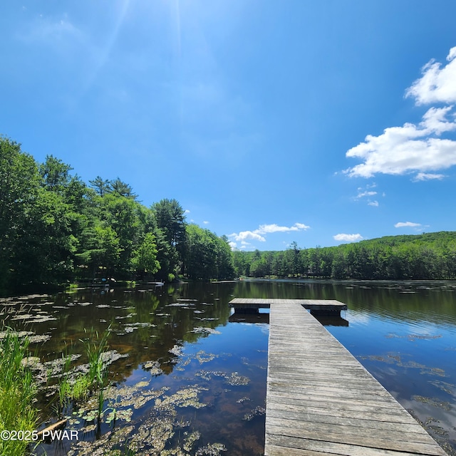 101 Deer Run, Greentown, PA 18451 - dock featuring a wooded view and a water view