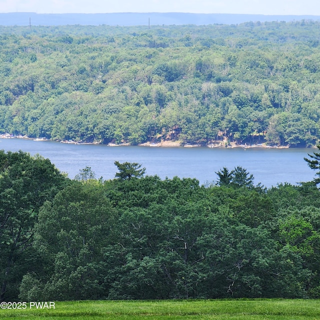 101 Deer Run, Greentown, PA 18451 - water view featuring a heavily wooded area