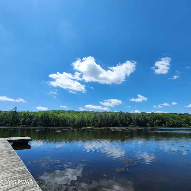 101 Deer Run, Greentown, PA 18451 - dock area with a wooded view and a water view
