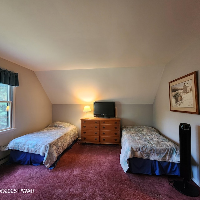 101 Deer Run, Greentown, PA 18451 - bedroom with lofted ceiling and dark colored carpet