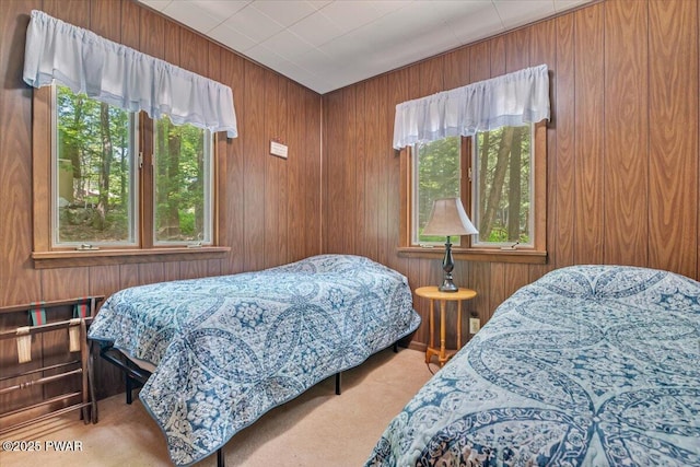 1474 Lakeland Dr, Lake Ariel, PA 18436 - bedroom with carpet and wood walls