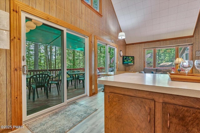 1474 Lakeland Dr, Lake Ariel, PA 18436 - kitchen with wooden walls, light wood finished floors, and high vaulted ceiling