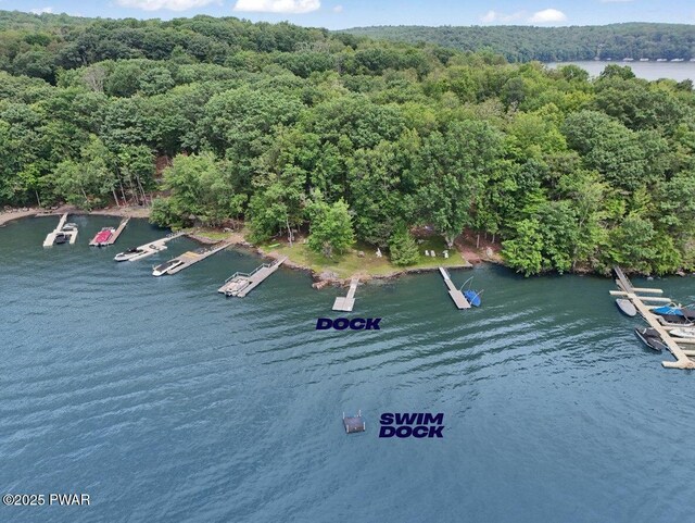 1474 Lakeland Dr, Lake Ariel, PA 18436 - bird's eye view of a heavily wooded area and a large body of water