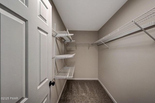 walk in closet with dark carpet