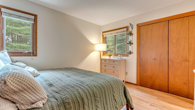 104 Steamboat Springs Ln, Tafton, PA 18464 - photo 14