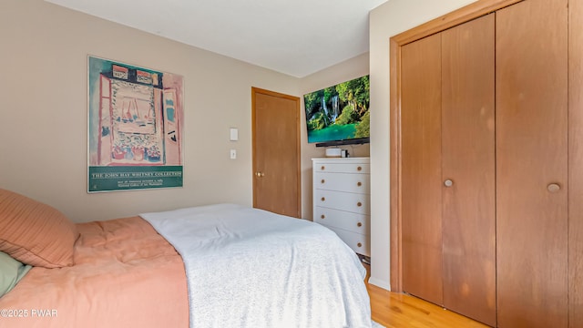 104 Steamboat Springs Ln, Tafton, PA 18464 - photo 25