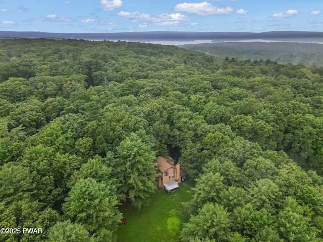 104 Steamboat Springs Ln, Tafton, PA 18464 - photo 38