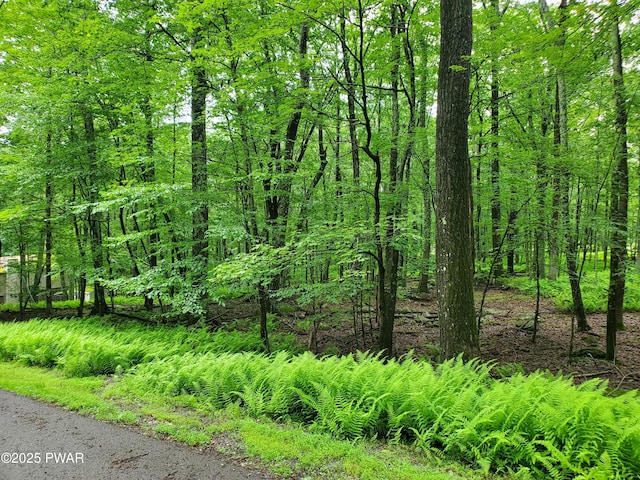 138 Laurel Cir, Hawley, PA 18428