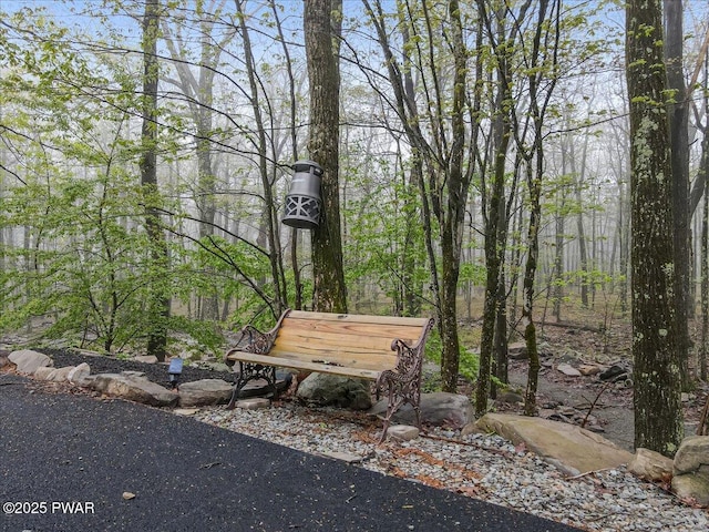 142 Bloss Rd, Canadensis, PA 18325 - view of home's community