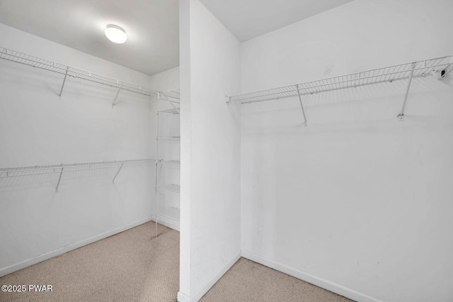 spacious closet with carpet flooring