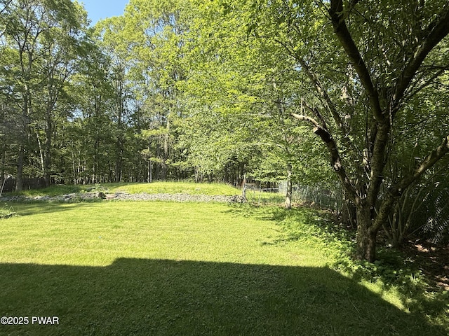 12044 Maplewood Dr, East Stroudsburg, PA 18302 - view of yard
