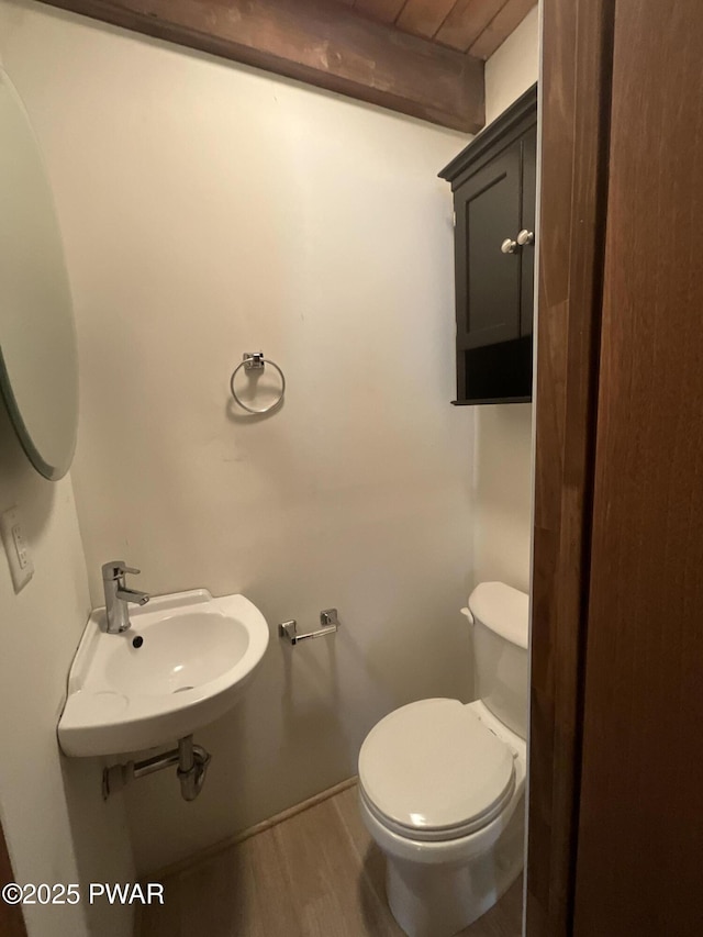 110 Parkwood Dr # 154, Lake Ariel, PA 18436 - bathroom with toilet and wood finished floors