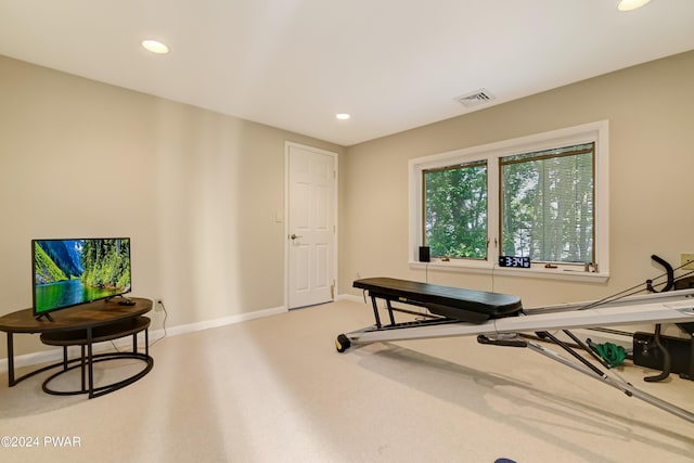 exercise room featuring carpet flooring