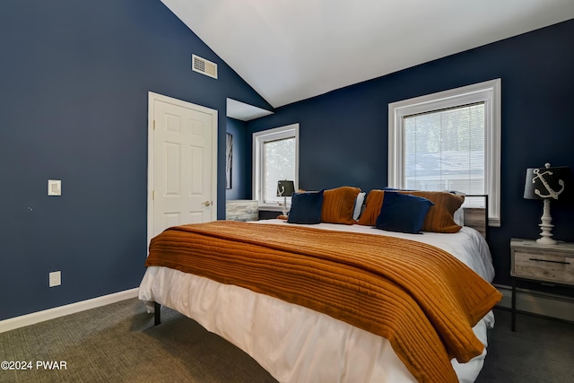 carpeted bedroom featuring lofted ceiling and a baseboard heating unit