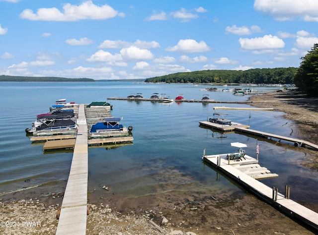 dock area featuring a water view