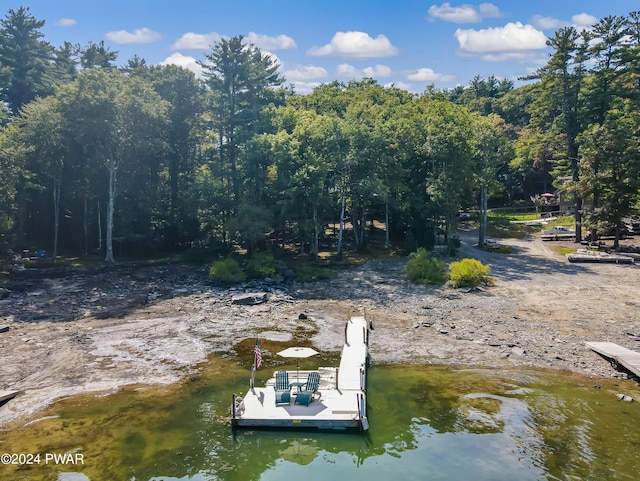 dock area featuring a water view