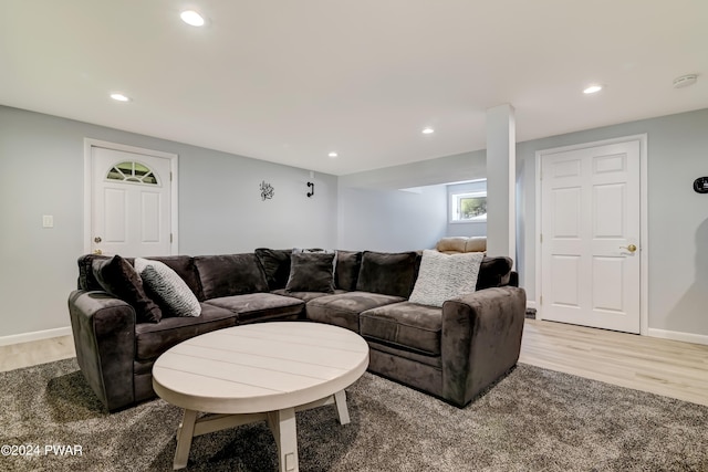 living room with wood-type flooring