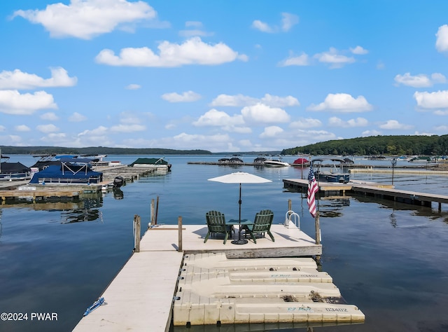 dock area featuring a water view