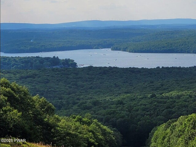 property view of water with a wooded view