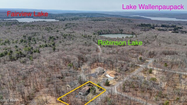 aerial view featuring a water view and a forest view