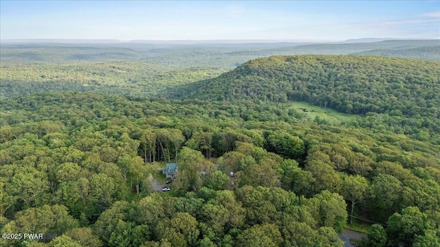 4426 Skyline Dr, Canadensis, PA 18325 - photo 39