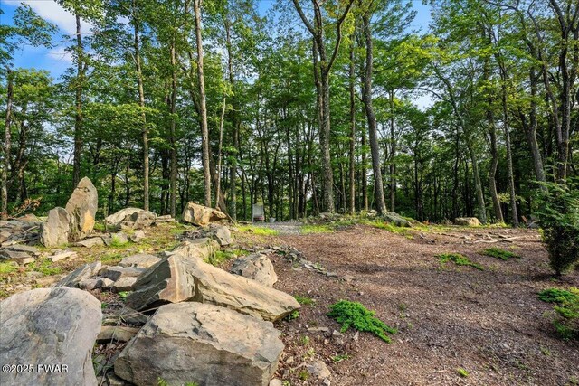 4426 Skyline Dr, Canadensis, PA 18325 - photo 32