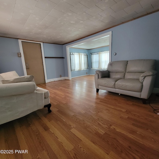 living room featuring crown molding and light hardwood / wood-style floors