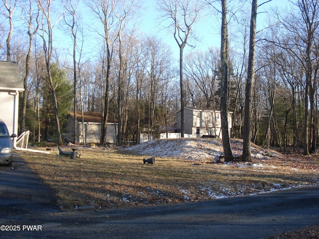 113 Oak Dr, Shohola, PA 18458 - view of yard