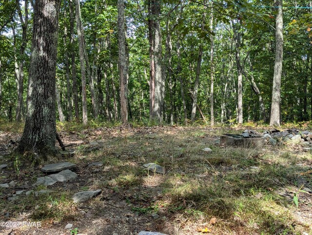 128 Shohola Ln, Shohola, PA 18458 - photo 5