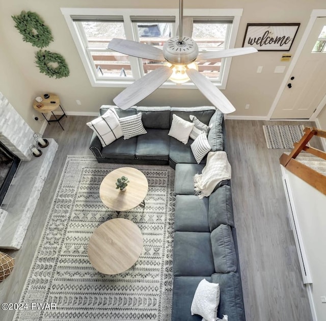 living room with hardwood / wood-style flooring, a fireplace, and a wealth of natural light