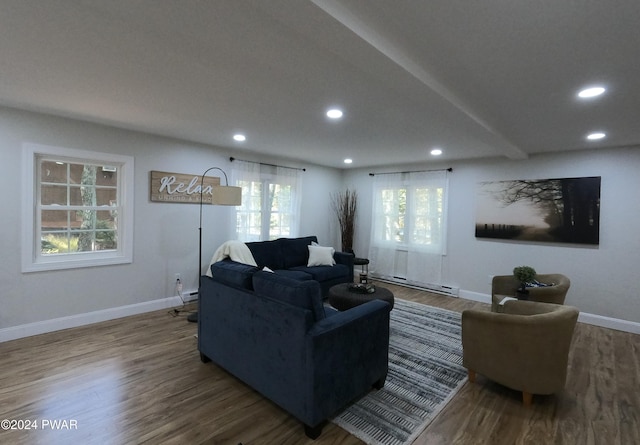 living room featuring baseboard heating and hardwood / wood-style floors