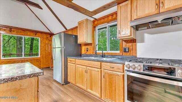 122 Westfall Dr, Dingmans Ferry, PA 18328 - kitchen with appliances with stainless steel finishes, a sink, under cabinet range hood, light wood-style flooring, and dark countertops