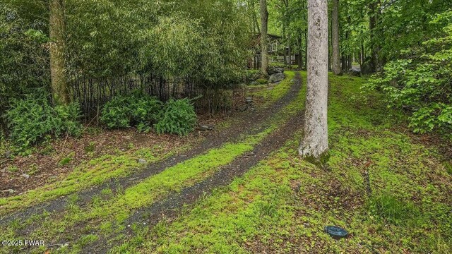 122 Westfall Dr, Dingmans Ferry, PA 18328 - view of yard