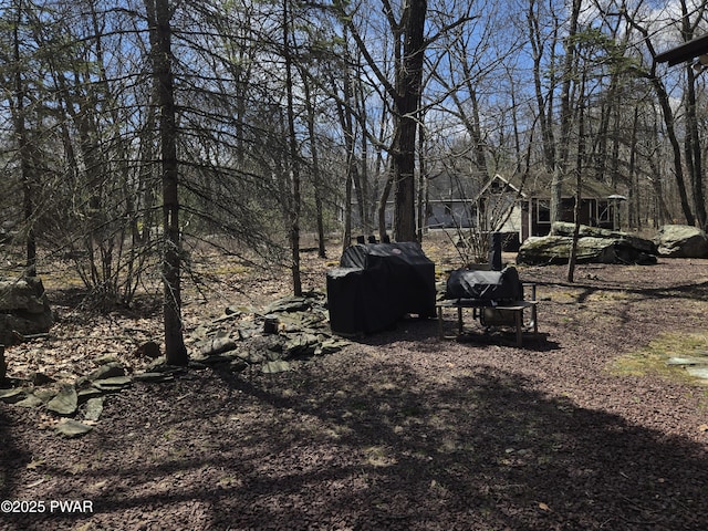 100 Saddlebrook Ln, Lords Valley, PA 18428 - view of yard