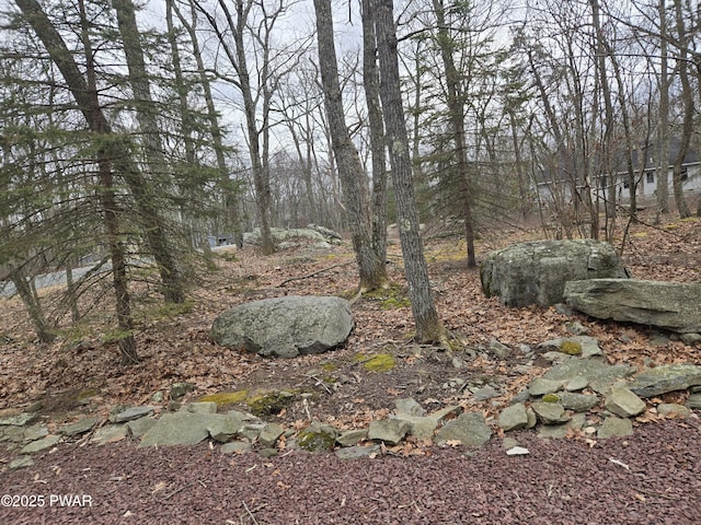 100 Saddlebrook Ln, Lords Valley, PA 18428 - view of yard