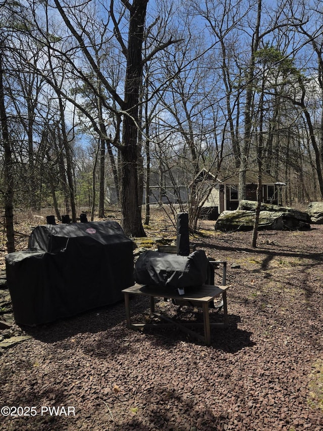 100 Saddlebrook Ln, Lords Valley, PA 18428 - view of yard
