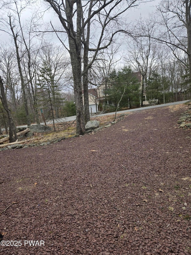 100 Saddlebrook Ln, Lords Valley, PA 18428 - view of yard