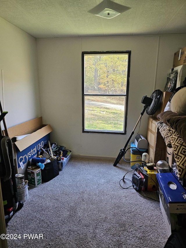 interior space featuring carpet, a textured ceiling, and a healthy amount of sunlight